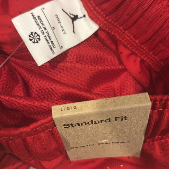Nike Air Jordan Sport Men's Dri-FIT Mesh Shorts-NEW - Picture 5 of 5